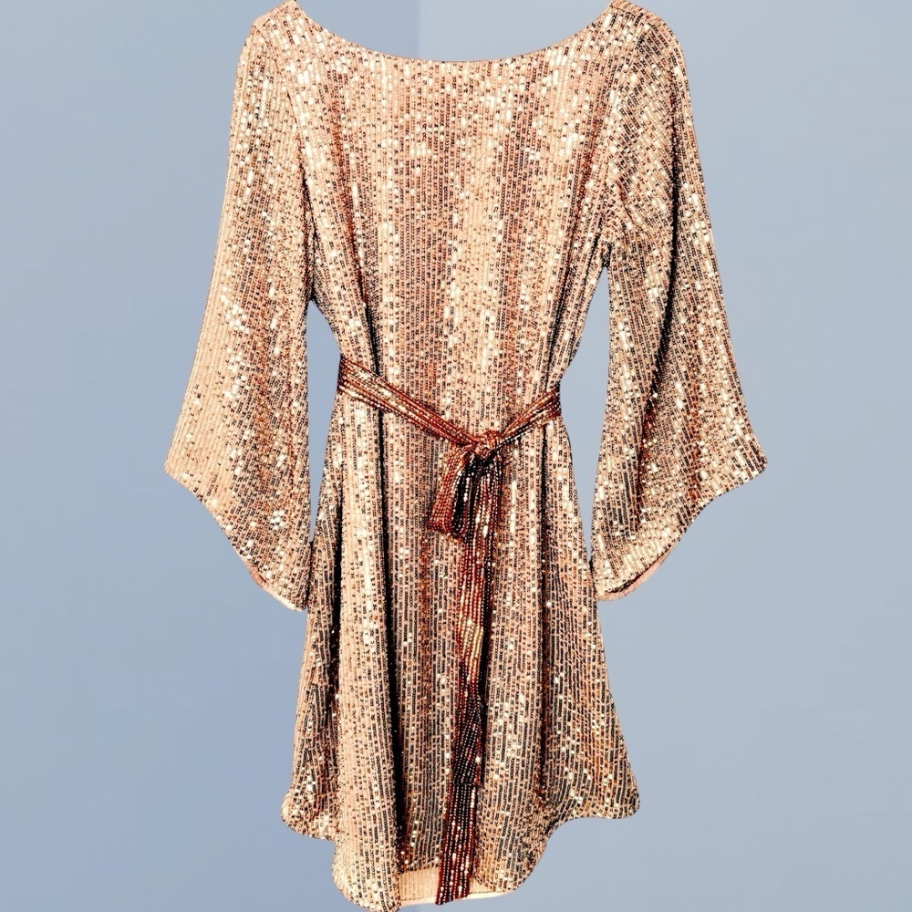 NWT Anthropologie Metallic Sequin Tunic Dress Women’s XS Y2K Starling Whimsigoth - Picture 2 of 14